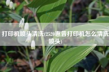 打印机喷头清洗(2520惠普打印机怎么清洗喷头)