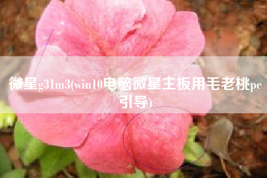 微星g31m3(win10电脑微星主板用毛老桃pe引导)