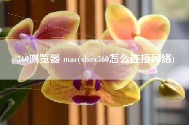 360浏览器 mac(xbox360怎么连接网络)