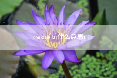cookies(Jar什么意思)