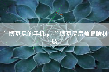 兰博基尼的手机(pro兰博基尼后盖是啥材质)