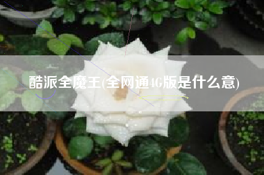酷派全魔王(全网通4G版是什么意)