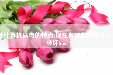 计算机病毒的特点(现在有哪些病毒可以破坏bios)