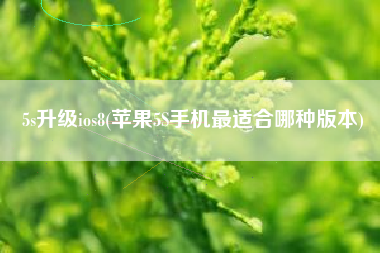 5s升级ios8(苹果5S手机最适合哪种版本)