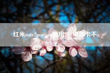 红米note2pro(pro能用2张电信卡不)