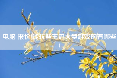 电脑 报价(能玩些主流大型游戏的有哪些)