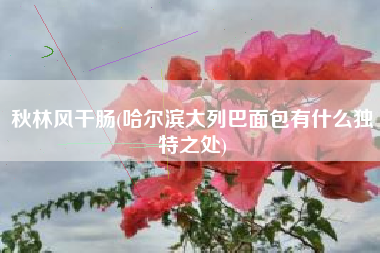 秋林风干肠(哈尔滨大列巴面包有什么独特之处)