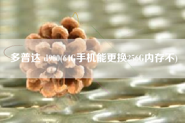 多普达 d900(64G手机能更换256G内存不)