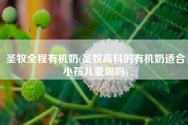 圣牧全程有机奶(圣牧高科的有机奶适合小孩儿童喝吗)