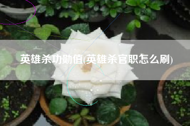 英雄杀功勋值(英雄杀官职怎么刷)