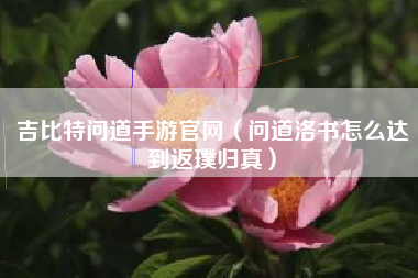 吉比特问道手游官网（问道洛书怎么达到返璞归真）