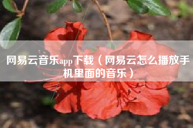 网易云音乐app下载（网易云怎么播放手机里面的音乐）