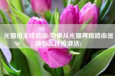 光猫接无线路由(如果从光猫再接路由器该怎么连接激活)