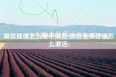 微信提现怎么免手续费(微信免费提现怎么激活)