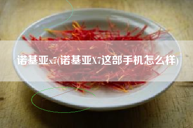 诺基亚x7(诺基亚X7这部手机怎么样)