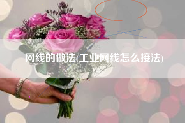 网线的做法(工业网线怎么接法)