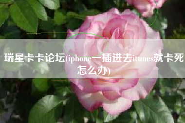 瑞星卡卡论坛(iphone一插进去itunes就卡死怎么办)