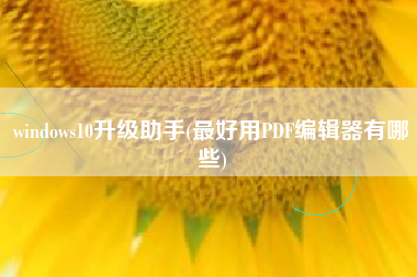 windows10升级助手(最好用PDF编辑器有哪些)