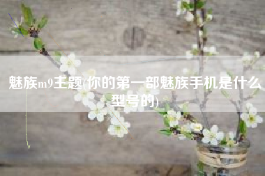 魅族m9主题(你的第一部魅族手机是什么型号的)