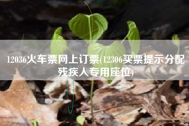12036火车票网上订票(12306买票提示分配残疾人专用座位)