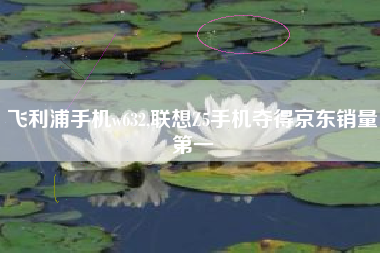 飞利浦手机w632,联想Z5手机夺得京东销量第一