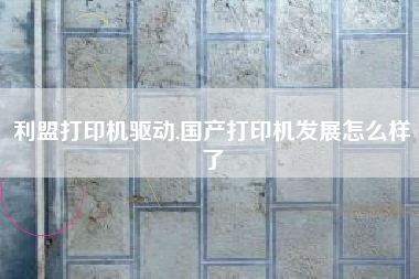 利盟打印机驱动,国产打印机发展怎么样了