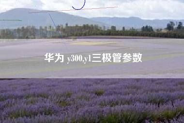 华为 y300,y1三极管参数