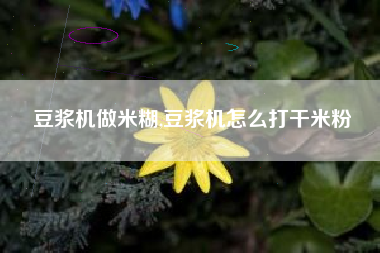 豆浆机做米糊,豆浆机怎么打干米粉