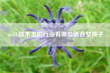 ux21,技术类的行业有哪些适合女孩子