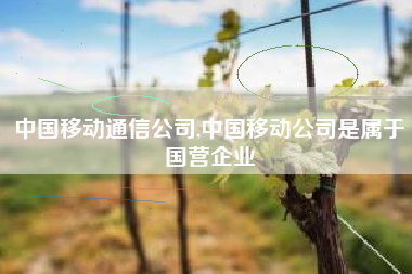 中国移动通信公司,中国移动公司是属于国营企业 中国移动通信公司,中国移动公司是属于国营企业
