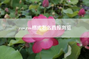 raw,raw格式怎么直接浏览