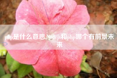php是什么意思,Nodejs和php哪个有前景未来