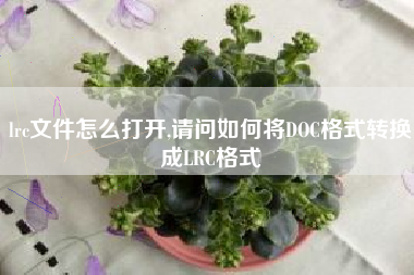 lrc文件怎么打开,请问如何将DOC格式转换成LRC格式