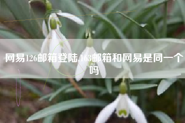 网易126邮箱登陆,163邮箱和网易是同一个吗