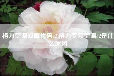 格力空调故障代码e2,格力变频空调e2是什么原因