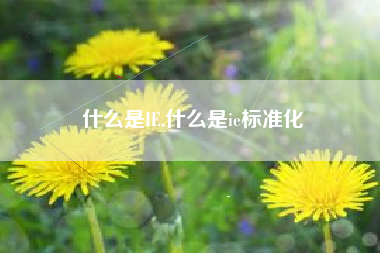 什么是IE,什么是ie标准化