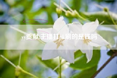 yy贡献,主播打pk刷的是钱吗