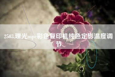 2503,理光mpc彩色复印机纯色定影温度调节