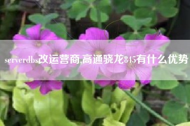 serverdbs改运营商,高通骁龙845有什么优势