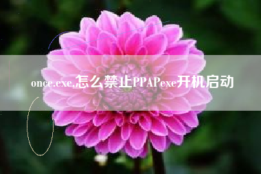 once.exe,怎么禁止PPAPexe开机启动