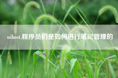 uihost,程序员们是如何进行笔记管理的