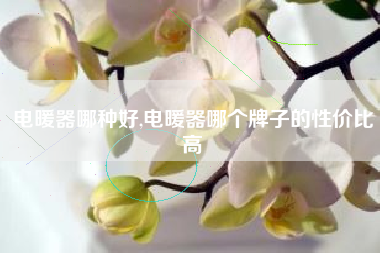电暖器哪种好,电暖器哪个牌子的性价比高