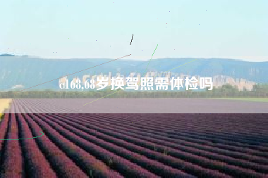 c168,68岁换驾照需体检吗