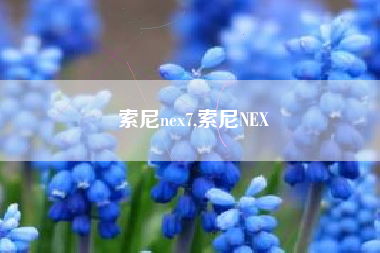 索尼nex7,索尼NEX