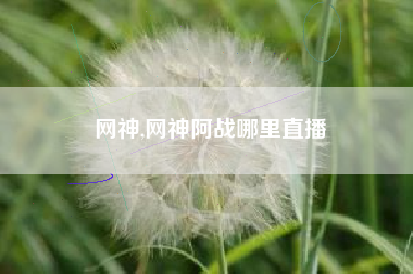 网神,网神阿战哪里直播