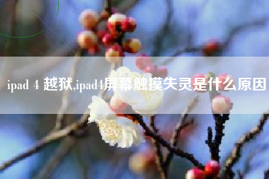 ipad 4 越狱,ipad4屏幕触摸失灵是什么原因