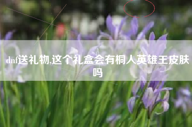 dnf送礼物,这个礼盒会有桐人英雄王皮肤吗