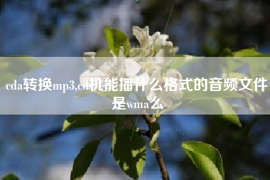 cda转换mp3,cd机能播什么格式的音频文件是wma么