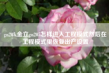 gn205,金立gn205怎样进入工程模式然后在工程模式里恢复出产设置