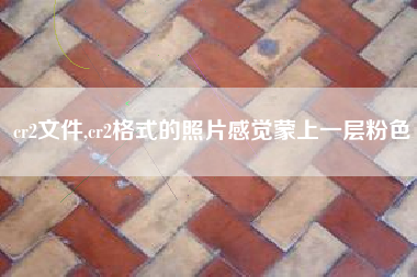 cr2文件,cr2格式的照片感觉蒙上一层粉色